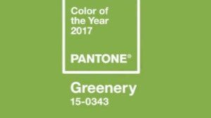 So what's the Pantone color of the year?